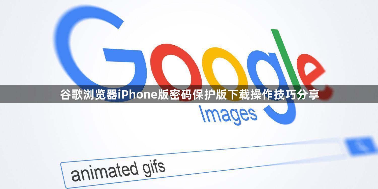 谷歌浏览器iPhone版密码保护版下载操作技巧分享1