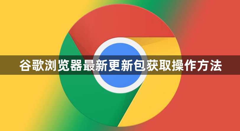 谷歌浏览器最新更新包获取操作方法1