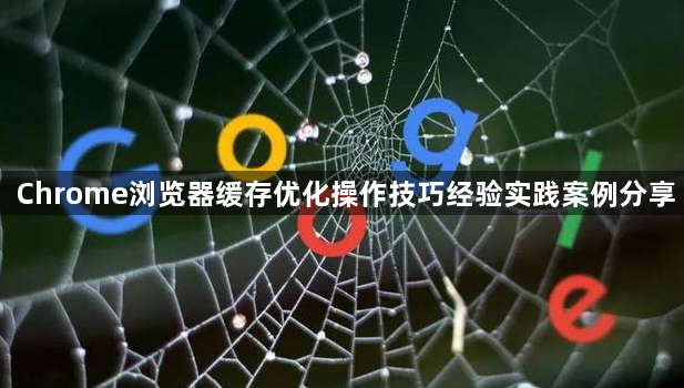 Chrome浏览器缓存优化操作技巧经验实践案例分享1
