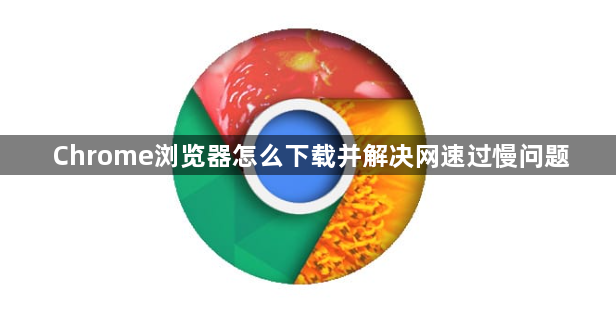 Chrome浏览器怎么下载并解决网速过慢问题1